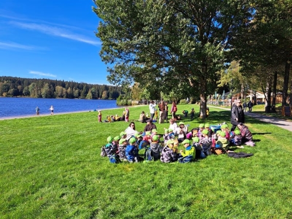 Sonniges Picknick
