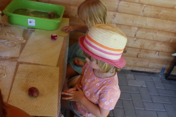 Filzen mit Alpakawolle