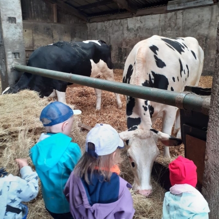 Besuch auf dem Bauernhof