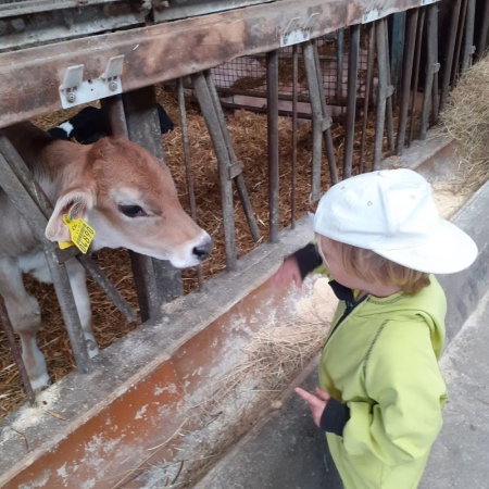 Besuch auf dem Bauernhof