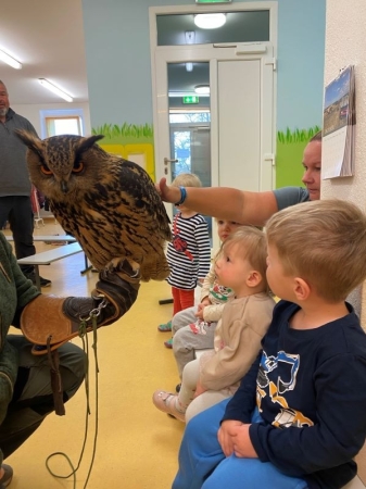 Besuch der Erzkäuze in der Kita
