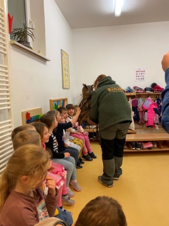 Besuch der Erzkäuze in der Kita