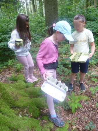 Naturbingo füllen im Wald