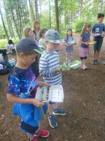 Naturbingo füllen im Wald