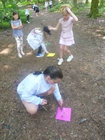 Naturbingo füllen im Wald