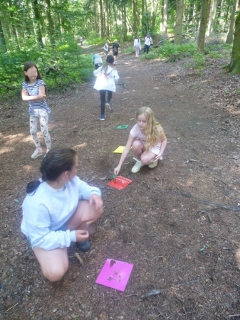Naturbingo füllen im Wald