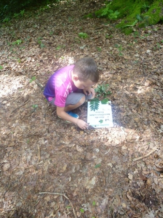Naturbingo füllen im Wald