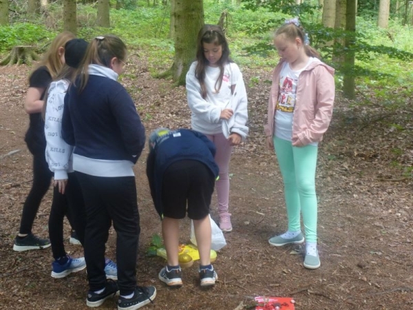 Naturbingo füllen im Wald