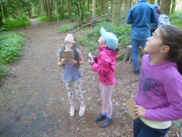 Naturbingo füllen im Wald