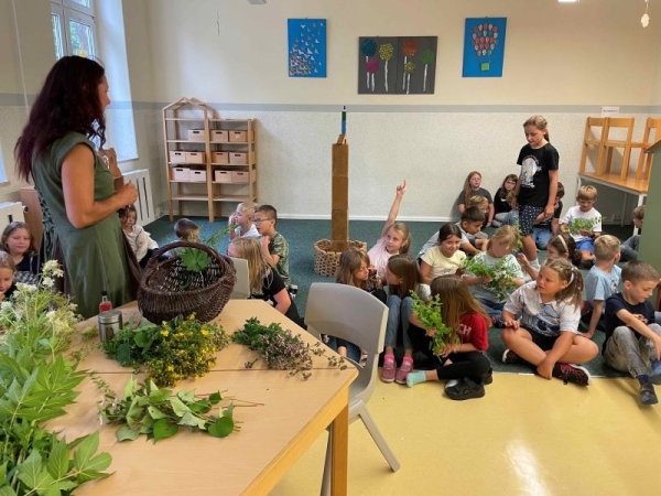 Seifenherstellung mit Hagazussa