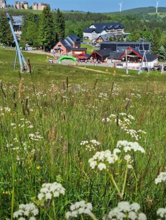 ...Benefizlauf zugunsten krebskranker Kinder